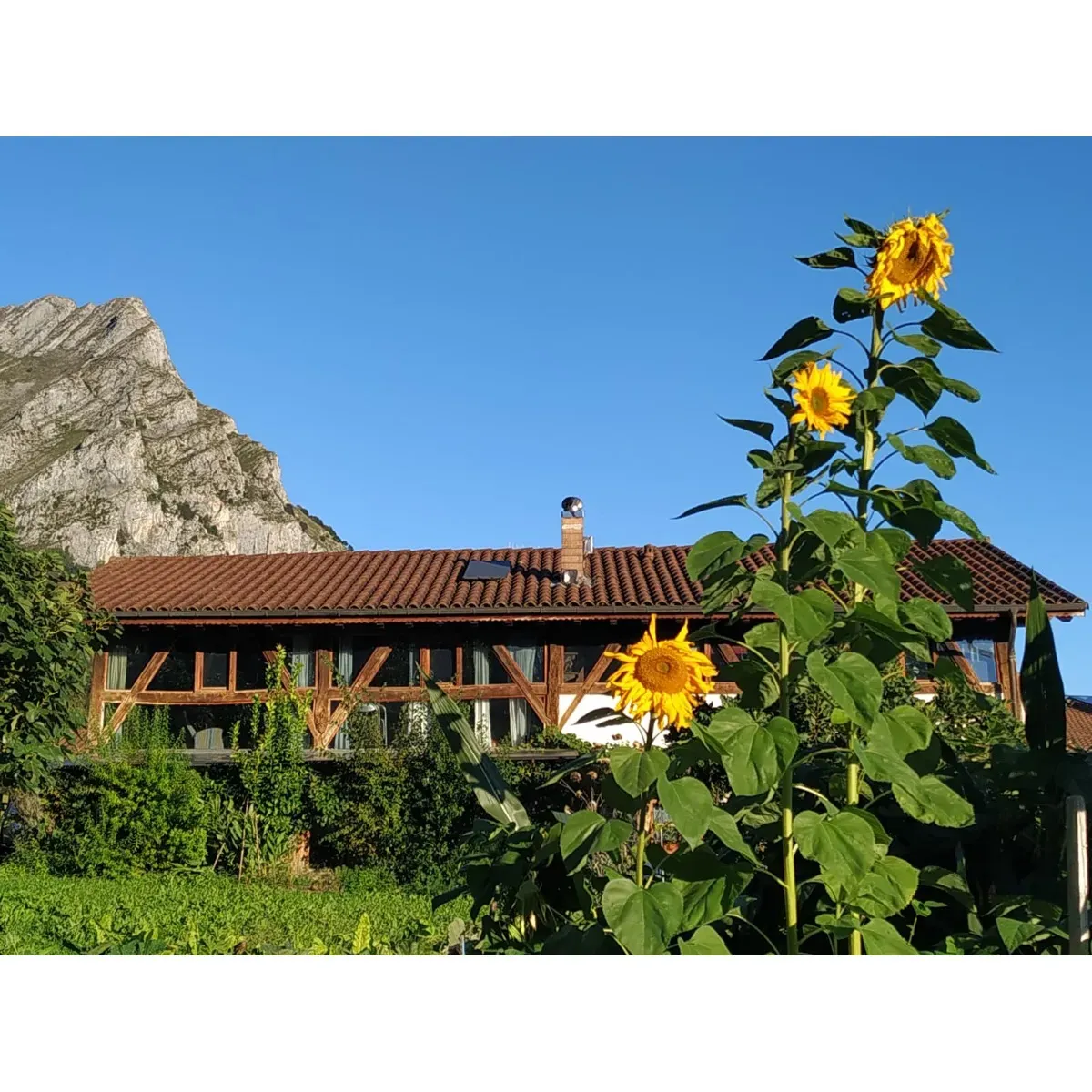 Discover the Benefits of a Wellness Retreat for Mind and Body