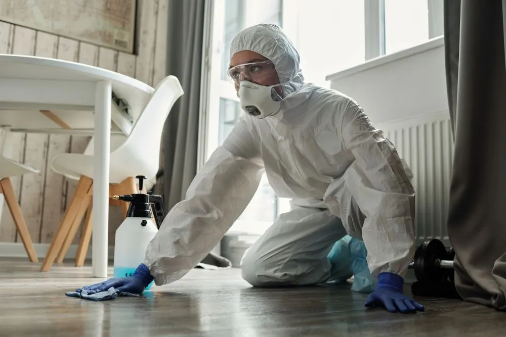 Can an HOCL Cleaner Kill Germs Effectively?