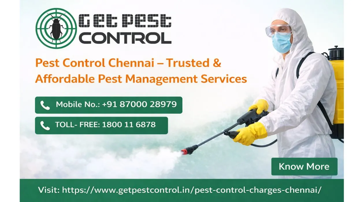 How to Choose the Right Pest Control Company in Chennai