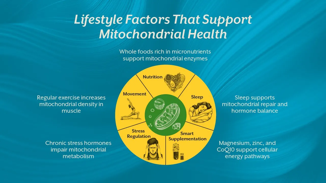 Why Your Cells May Be Causing Erectile Dysfunction