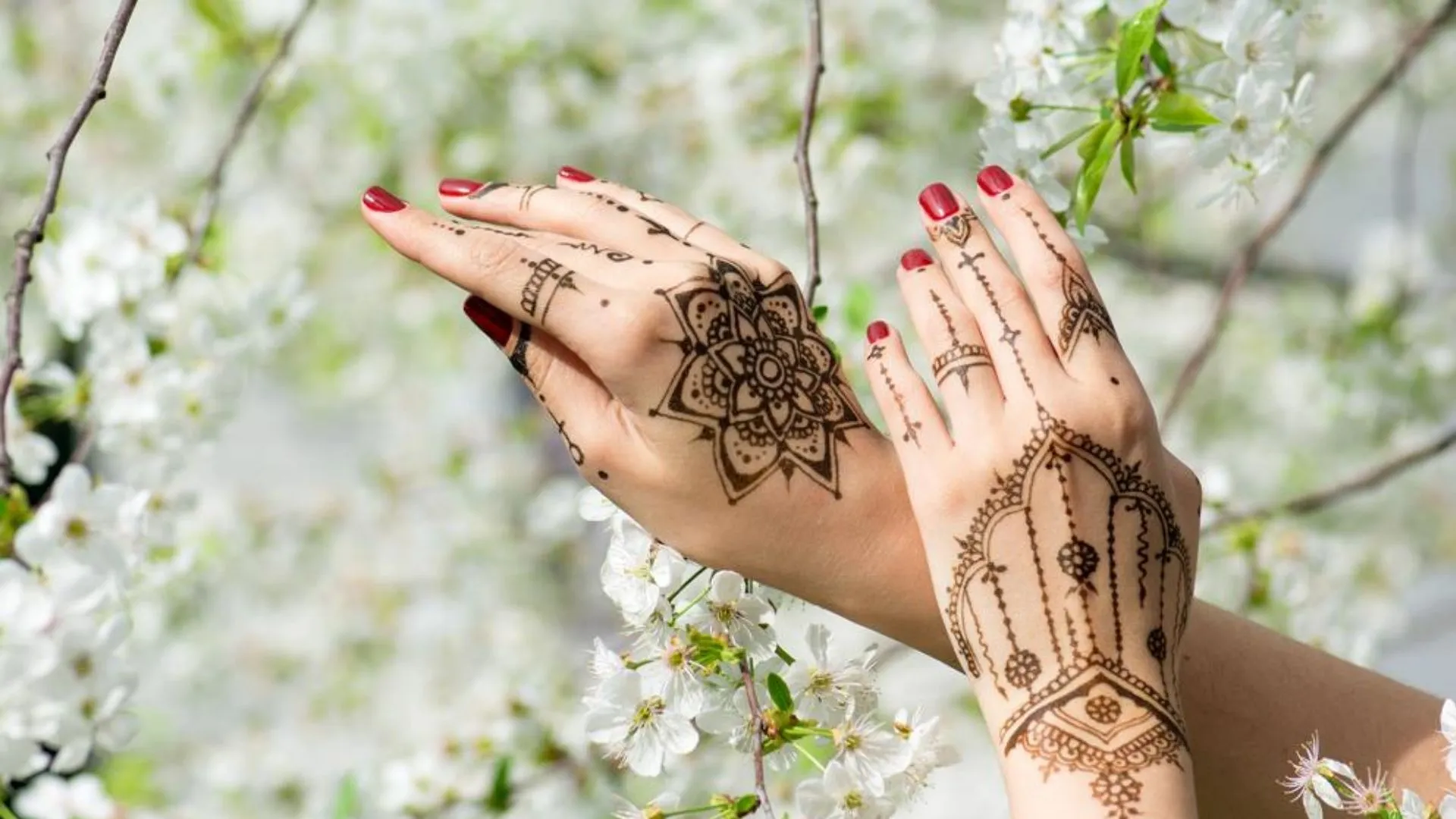 Henna Artist Dubai