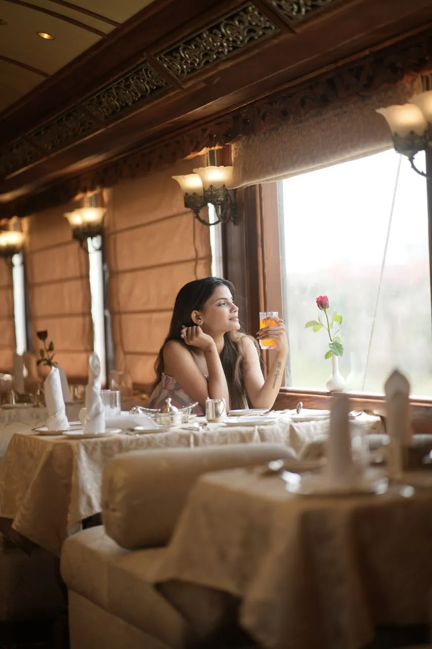 Exploring Royal Rajasthan on Palace on Wheels: The Ultimate Luxury Train Experience in 2026