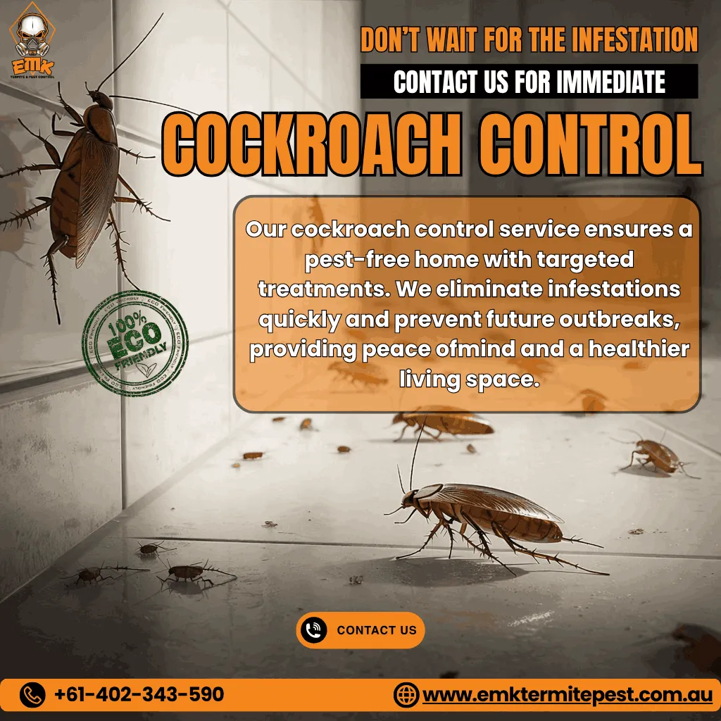 How Professional German Cockroach Pest Control in Sydney Protects Homes and Businesses