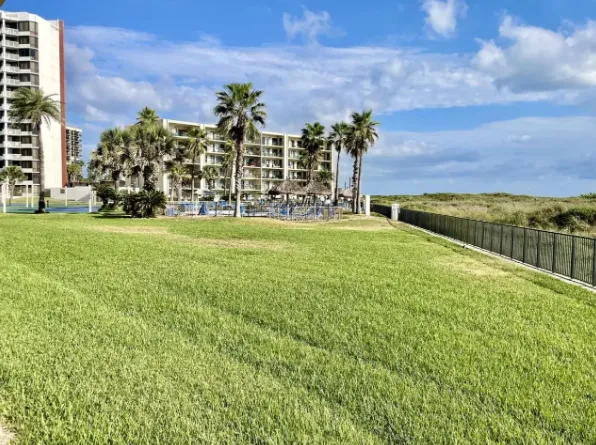 The Science Behind Shifting Coastal Sand Dunes