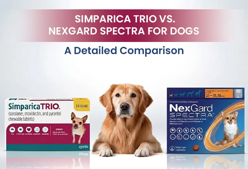 Simparica Trio vs. Nexgard Spectra for Dogs – A Detailed Comparison