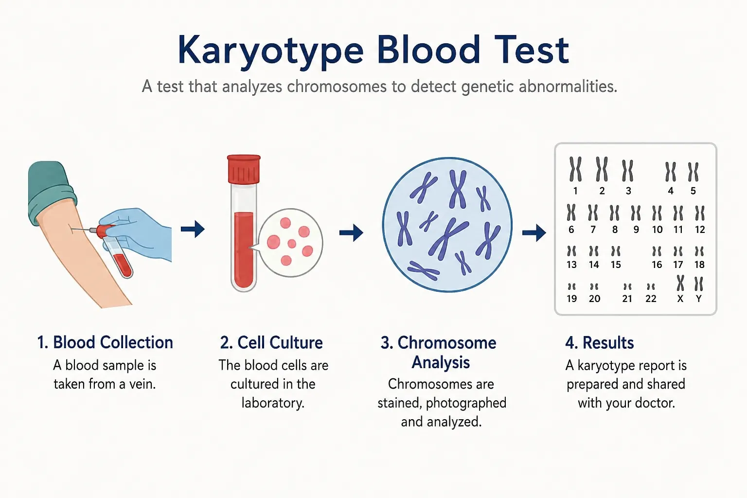 Karyotype Blood Test London: Everything You Need to Know