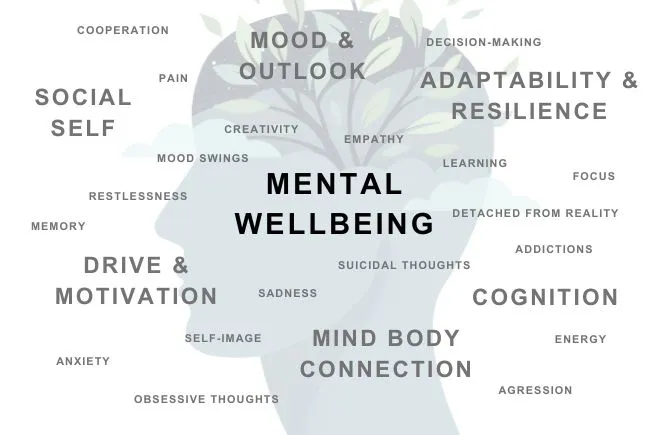 Improving Mental Wellbeing through 5 Gentle Practices with Ebba Terefe Pickerington
