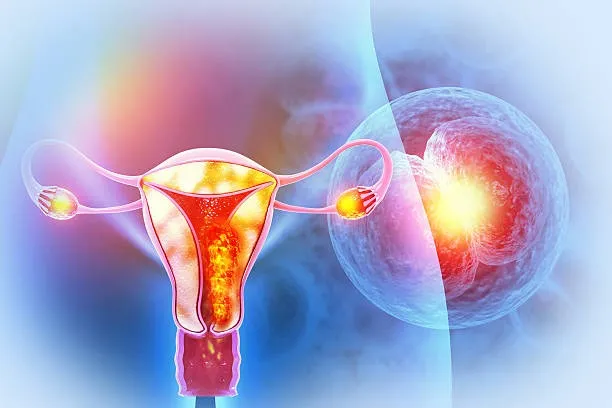 Modern Insights Into vaginal rejuvenation Procedures