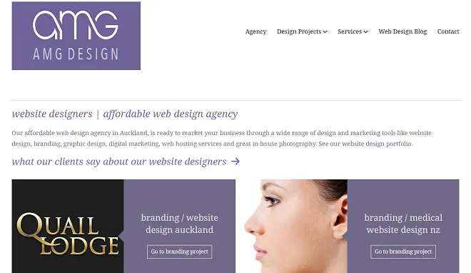 Leading Web Design Agencies in Auckland, NZ [2026]