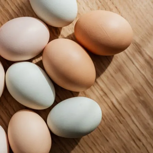 Bulk Eggs Supplier: How to Choose the Right Partner for Quality Egg Supply