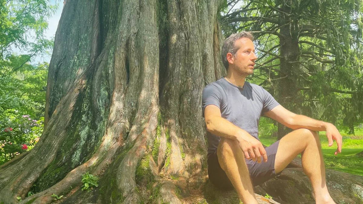 How Can Metamorphosis Help You Break Free From Limiting Beliefs?