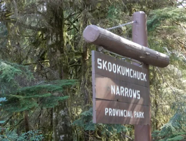 Best Time to Visit Skookumchuck Narrows for Stunning Tidal Rapids Views