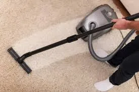 How Carpet Cleaning Services Revitalize Your Home's Atmosphere