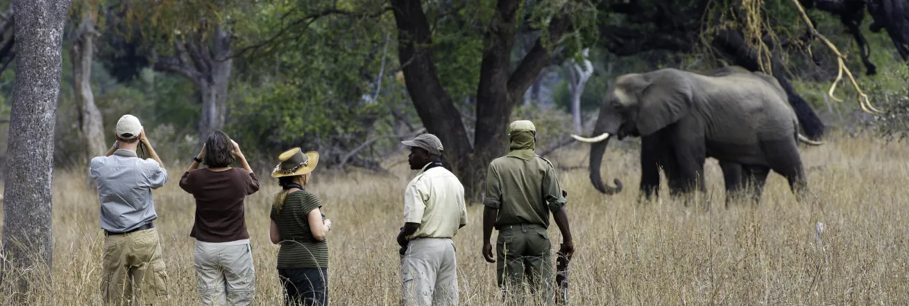 African Travel Guide Exploring Zambia and Namibia’s Most Remarkable Safari Experiences