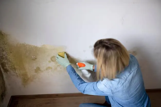 Mold Removal Lexington KY and Indoor Air Quality Improvements