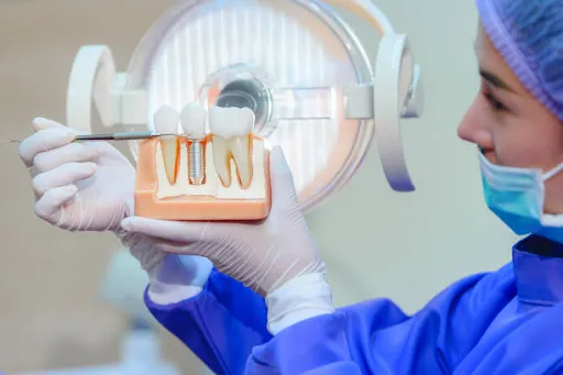 Architects of the Perfect Smile: Navigating Premium Dentistry and Total Oral Wellness in Lahore