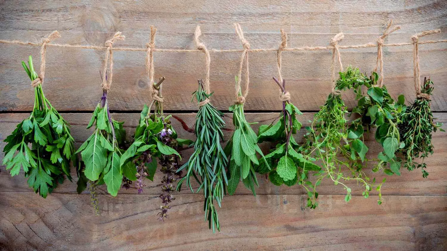 Top 5 Drying Technologies for Spices and Herbs: Preserving Aroma and Nutrients