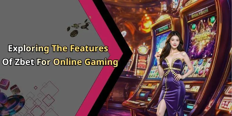 Zbet - Discover Amazing Online Entertainment Experiences Today