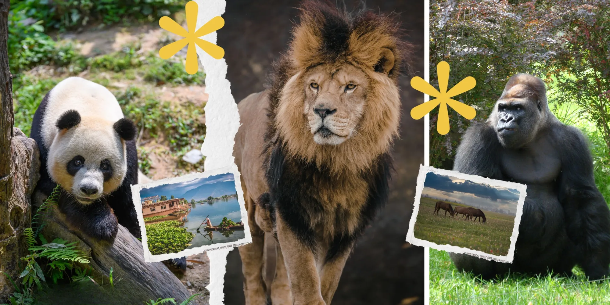 The Complete Gabon Safari Travel Guide for First-Time Visitors
