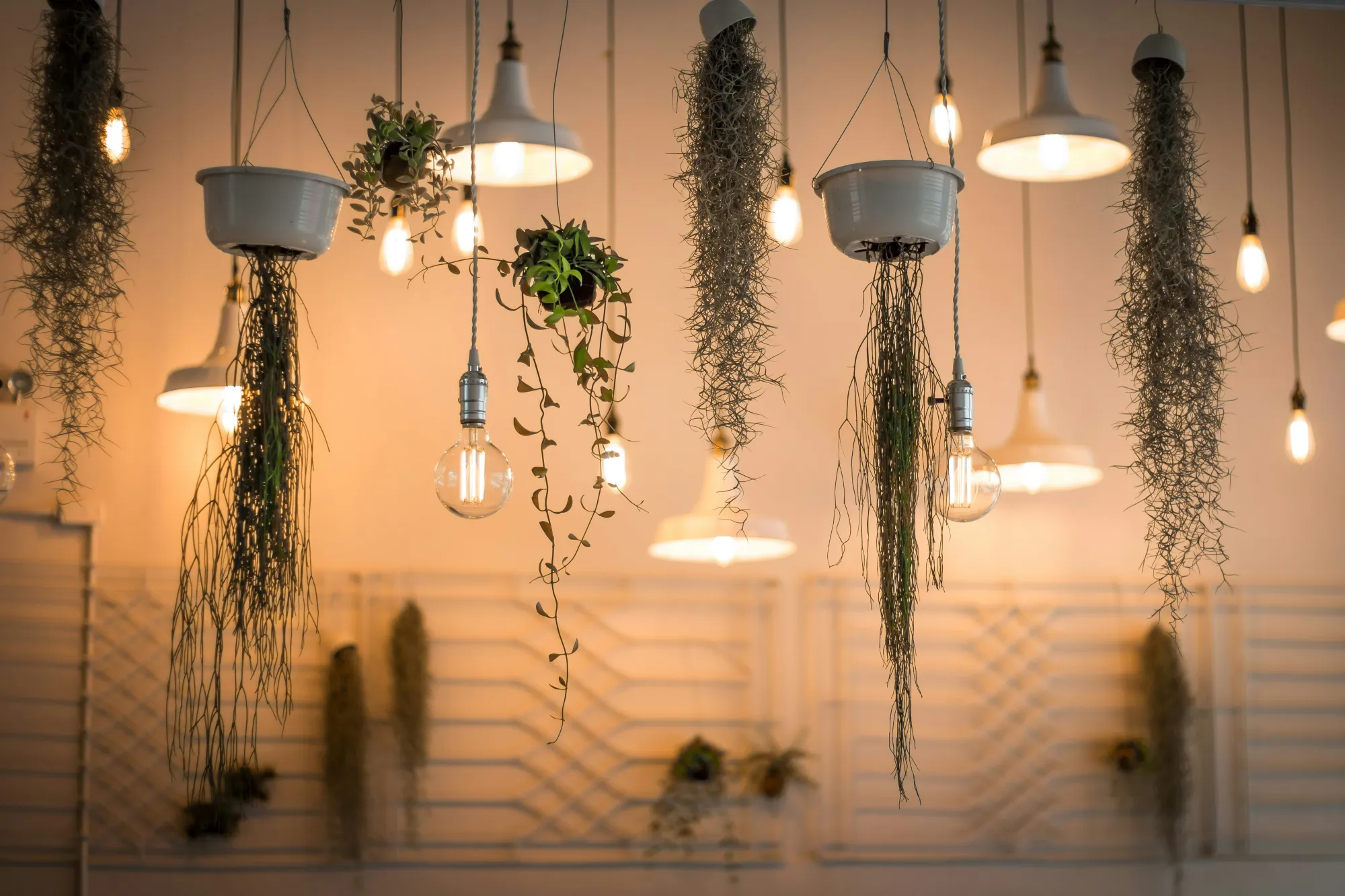 Commercial Electricians vs DIY LED Installs: The Hidden Risk for NJ Businesses