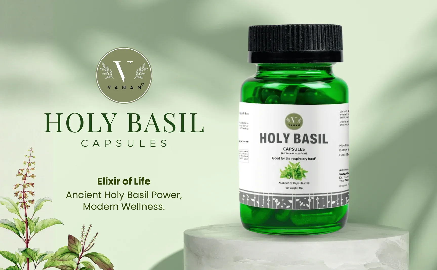 Holy Basil (Tulsi): The Ancient Ayurvedic Herb for Modern Wellness