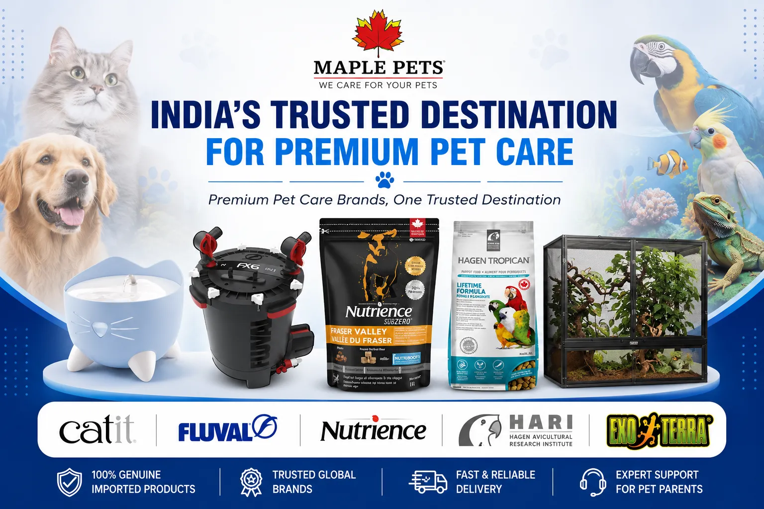 How Maple Pets Brings World-Class Pet Care Brands to India