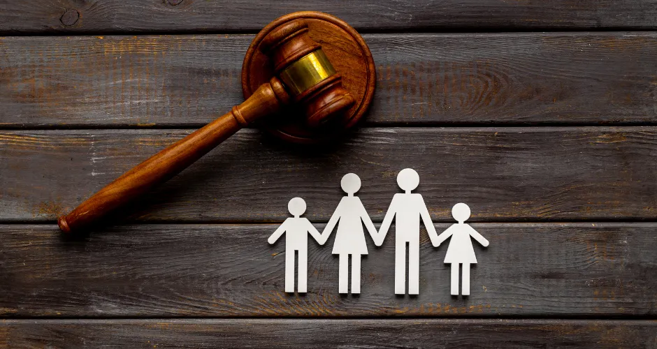 How Appeal Lawyers Handle Family Violence Claims