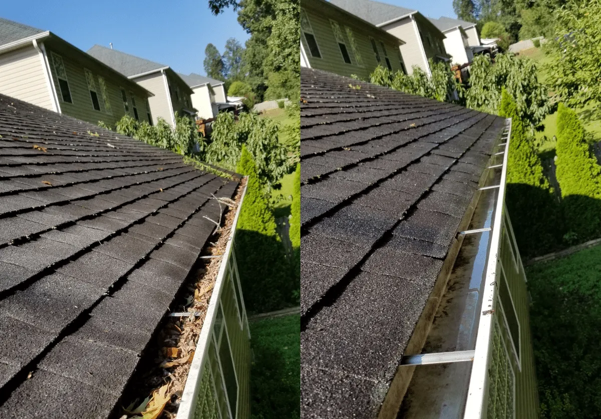 Expert Local Gutter Cleaners in Canberra – Protecting Your Property Year-Round