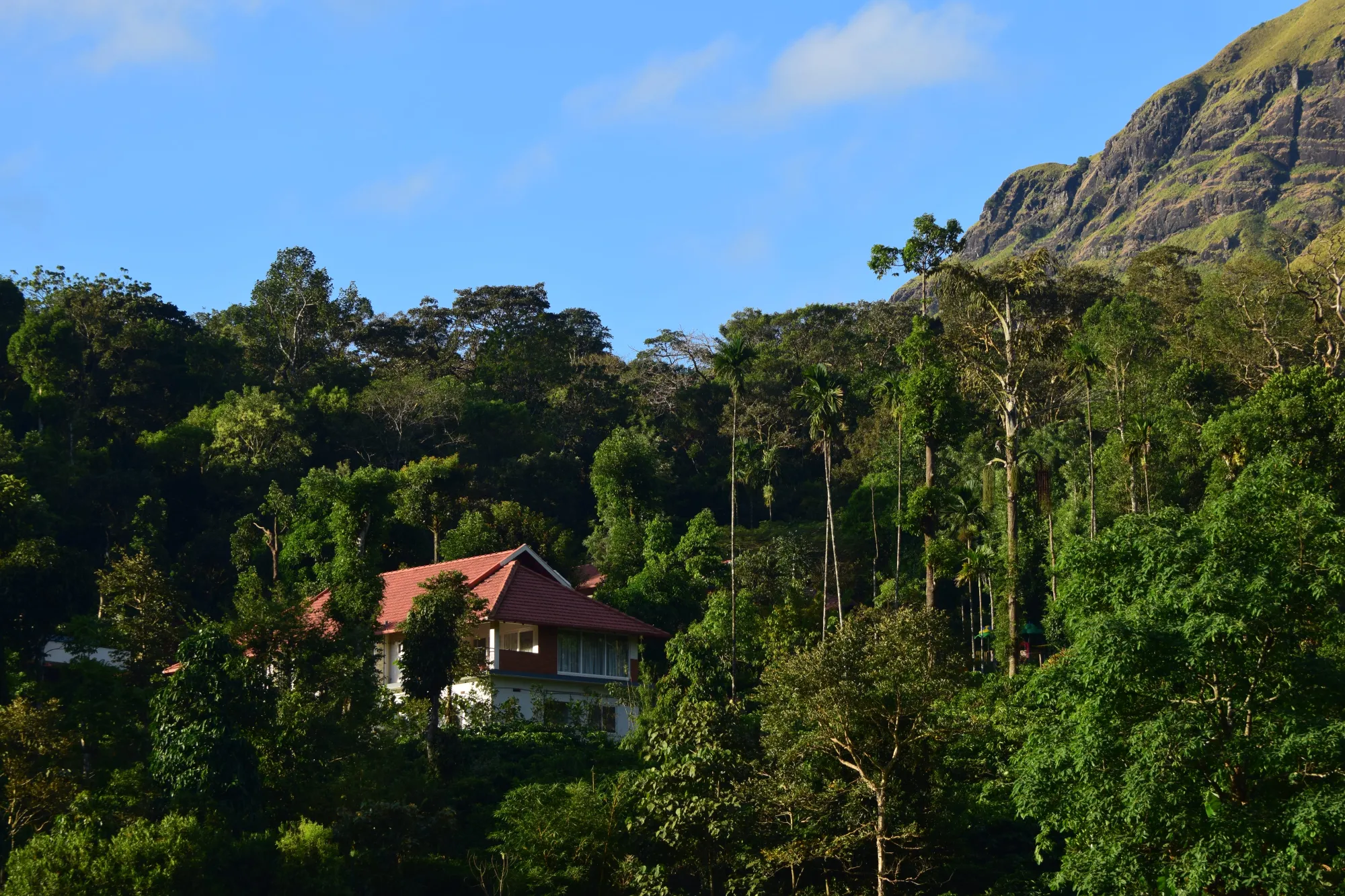 What to Expect from a Premium Hill Station Stay At Chikmagalur