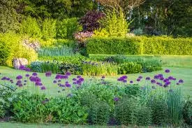 The Essential Guide to Creative Outdoor Layouts and Estate Planning