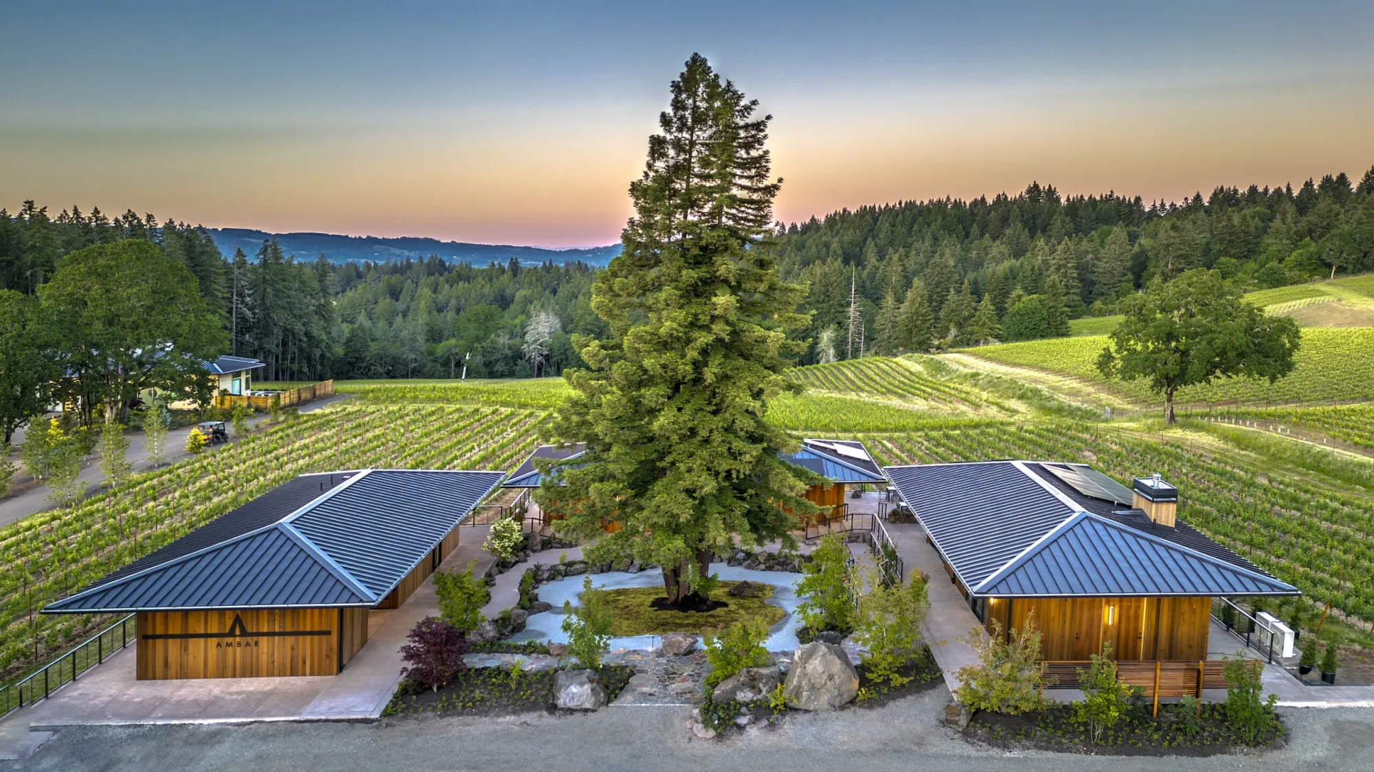 How Ambar Estate Practices Sustainable Viticulture in the Willamette Valley