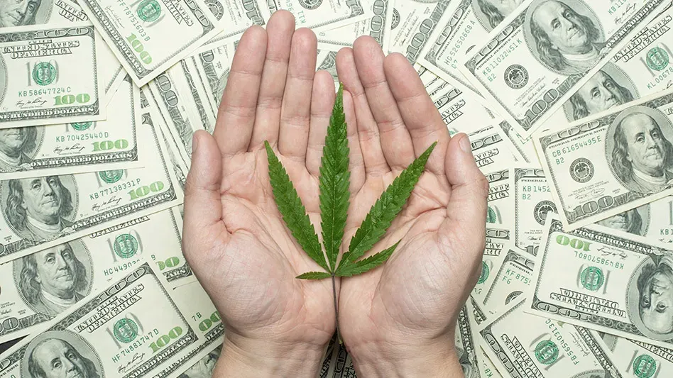 Paying Too Much Cannabis Tax in Texas?
