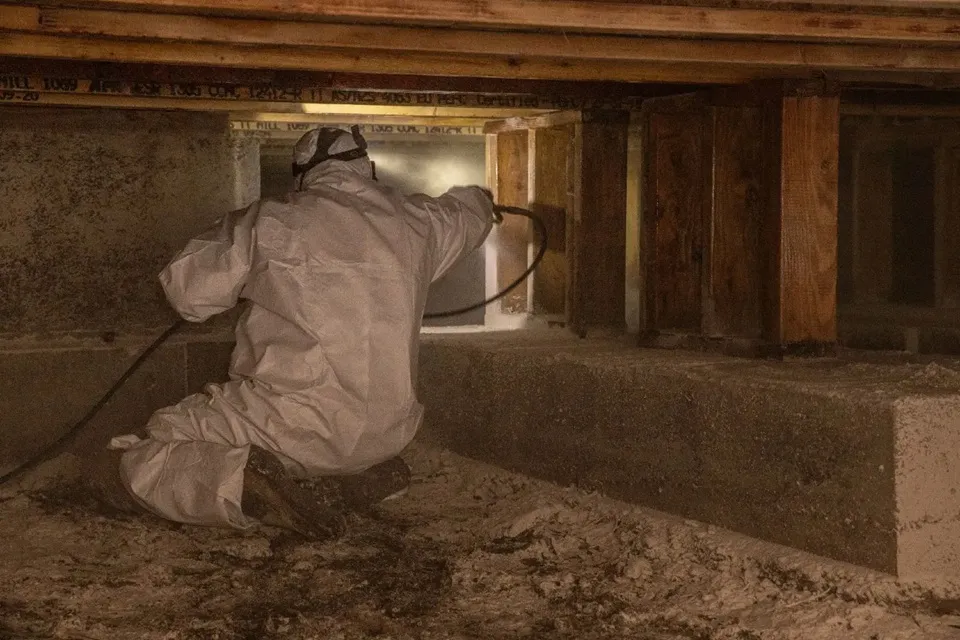 What Protective Gear Do Mold Remediation Professionals Use to Stay Safe During Crawl Space Work?