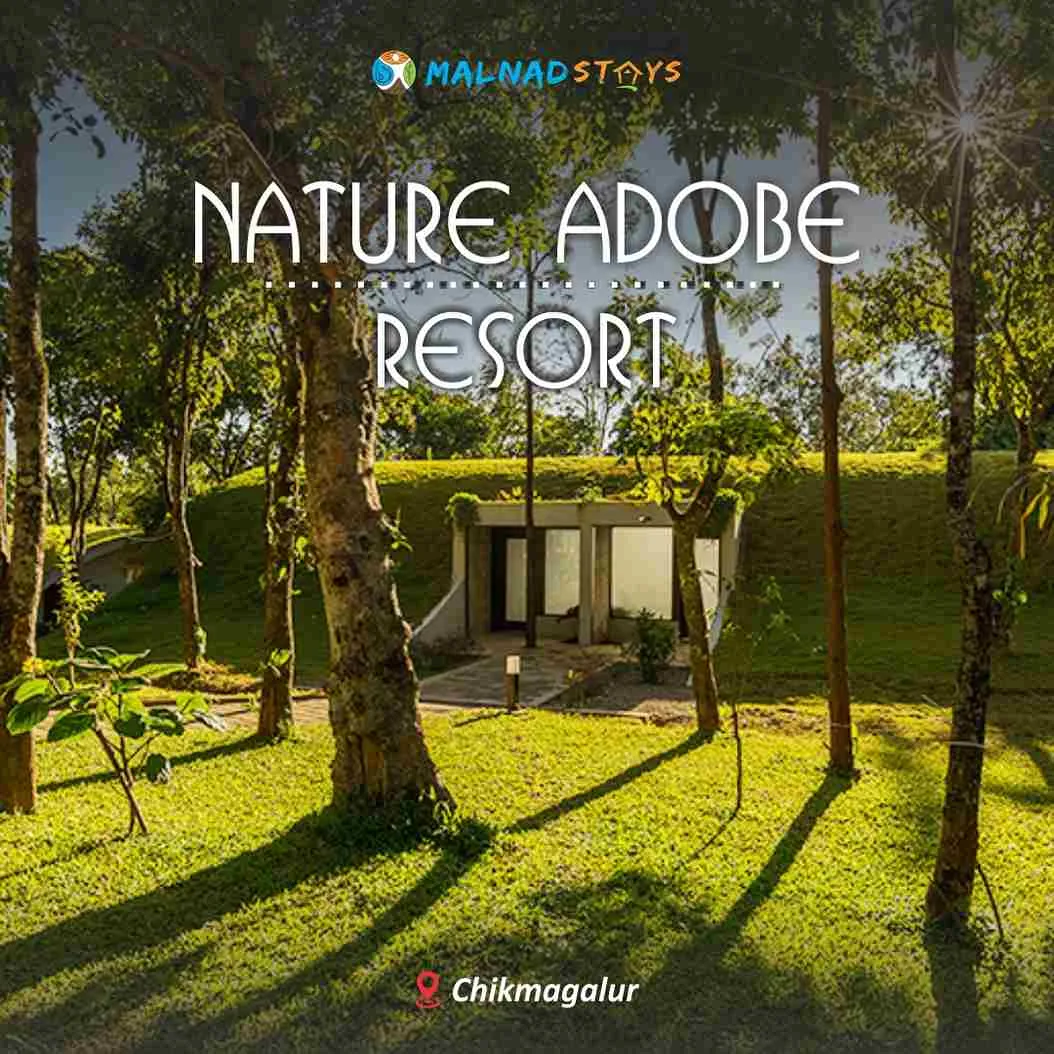 How to Choose the Right Chikmagalur Resort for Your Vacation
