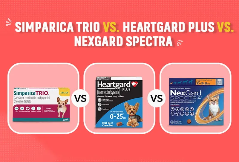 Simparica Trio vs. Heartgard Plus vs. Nexgard Spectra – Which One Should You Use?
