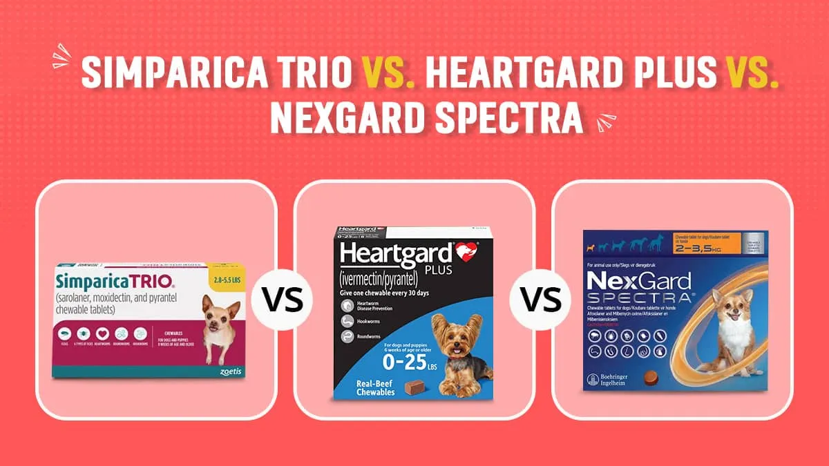 Simparica Trio vs. Heartgard Plus vs. Nexgard Spectra – Which One Should You Use?