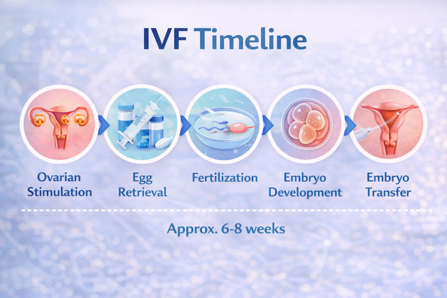 IVF takes time and that is okay: A week-by-week guide to the journey