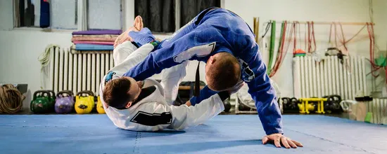 Beginner’s Guide to Mixed Martial Arts Training