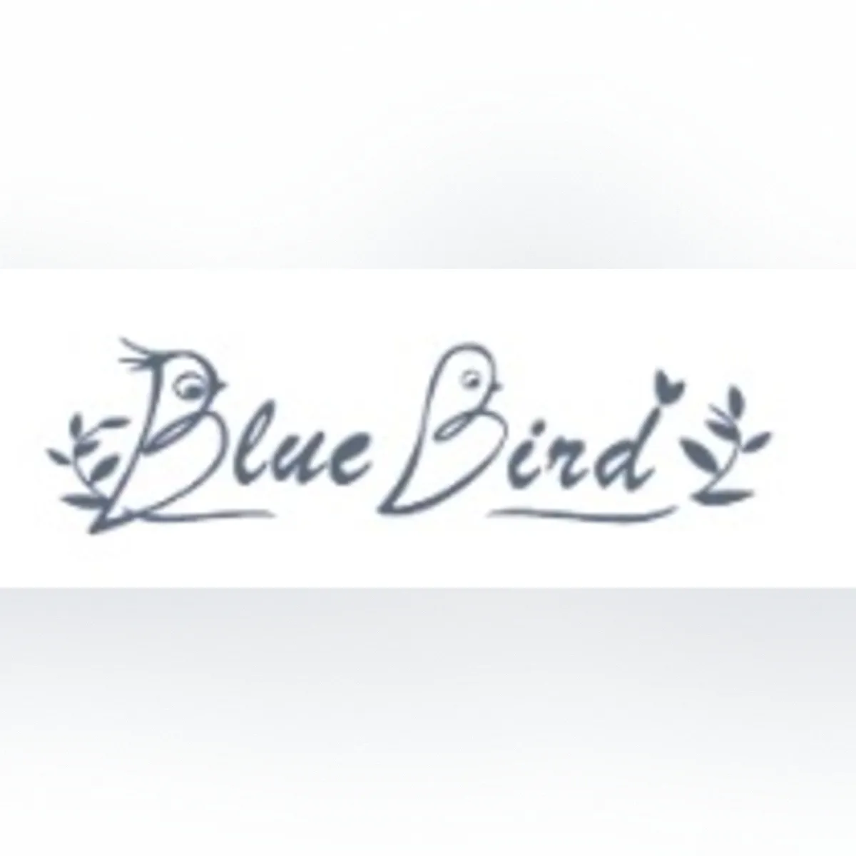 Why Choose Ningbo Bluebird Garden Technology Co., Ltd. Products?