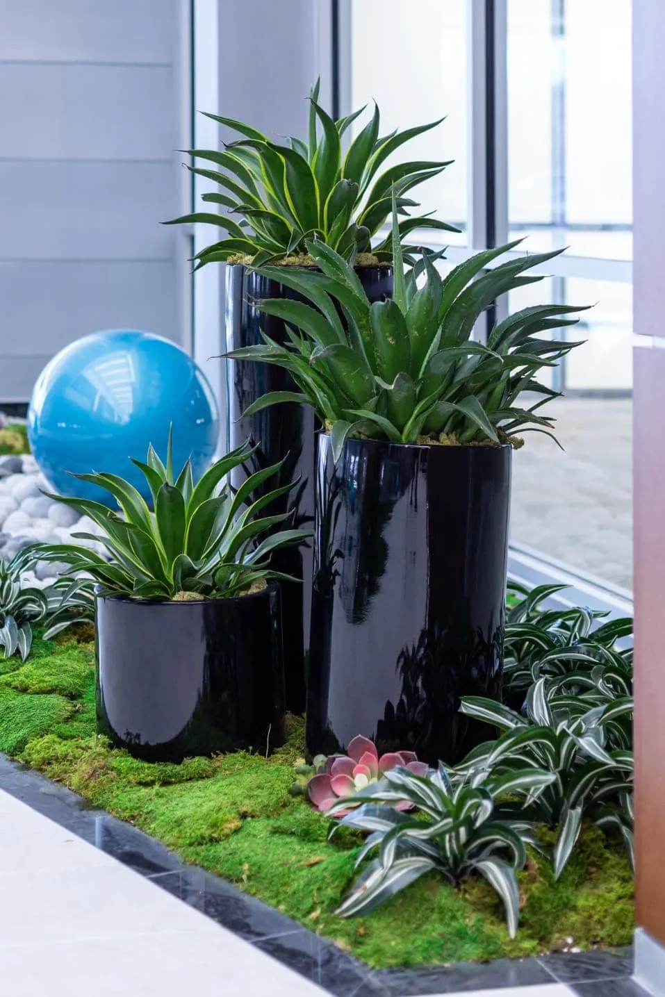 The Benefits of Investing in a Professional Interior Landscape