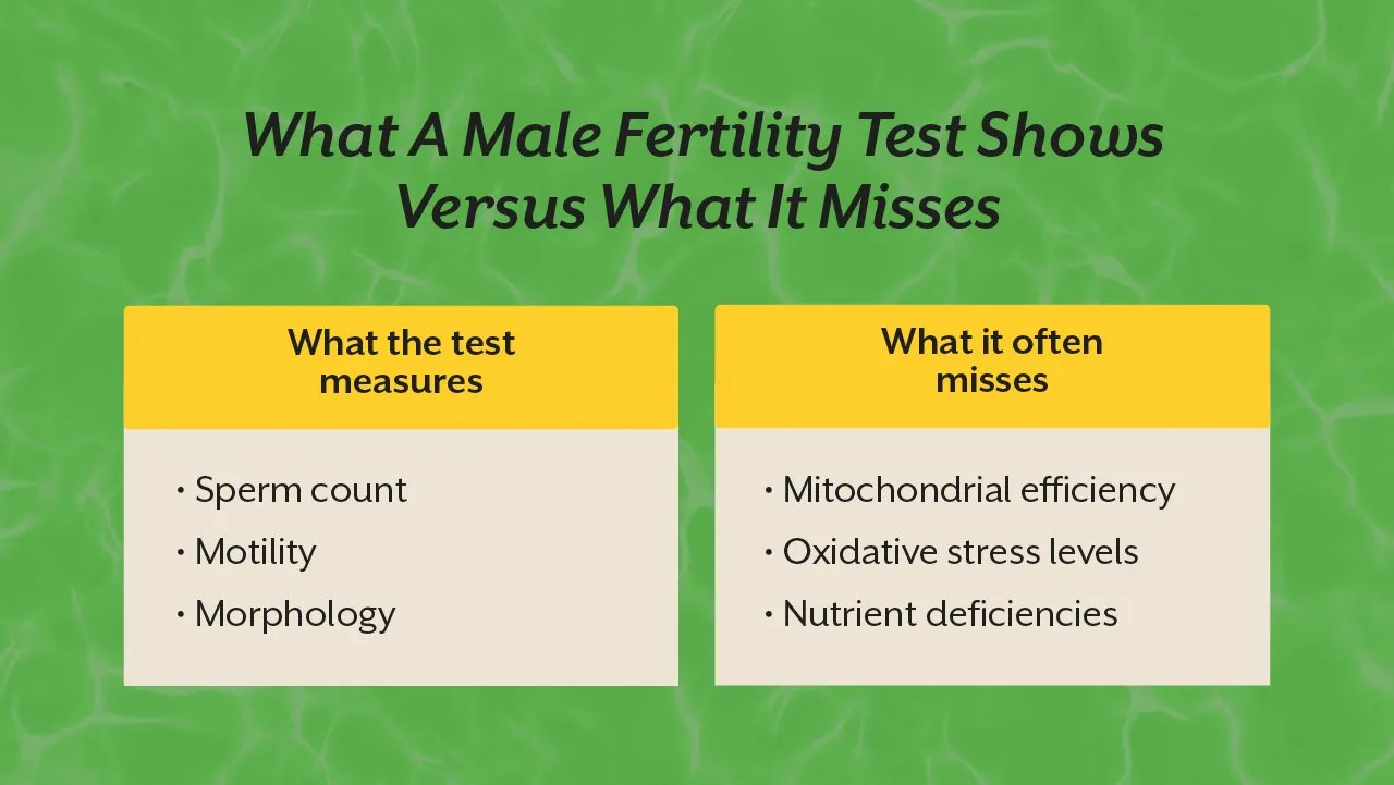 Sonnet 4.6 LowClaude is AI and can make mistakes. Please double-check responses.Ithrive low sperm count nutrients article · MDCopy META TITLE: Low Sperm Count? Here Are the 5 Nutrients That Actually Make a Difference META DESCRIPTION: Low sperm count is not just a number problem. Find out t
