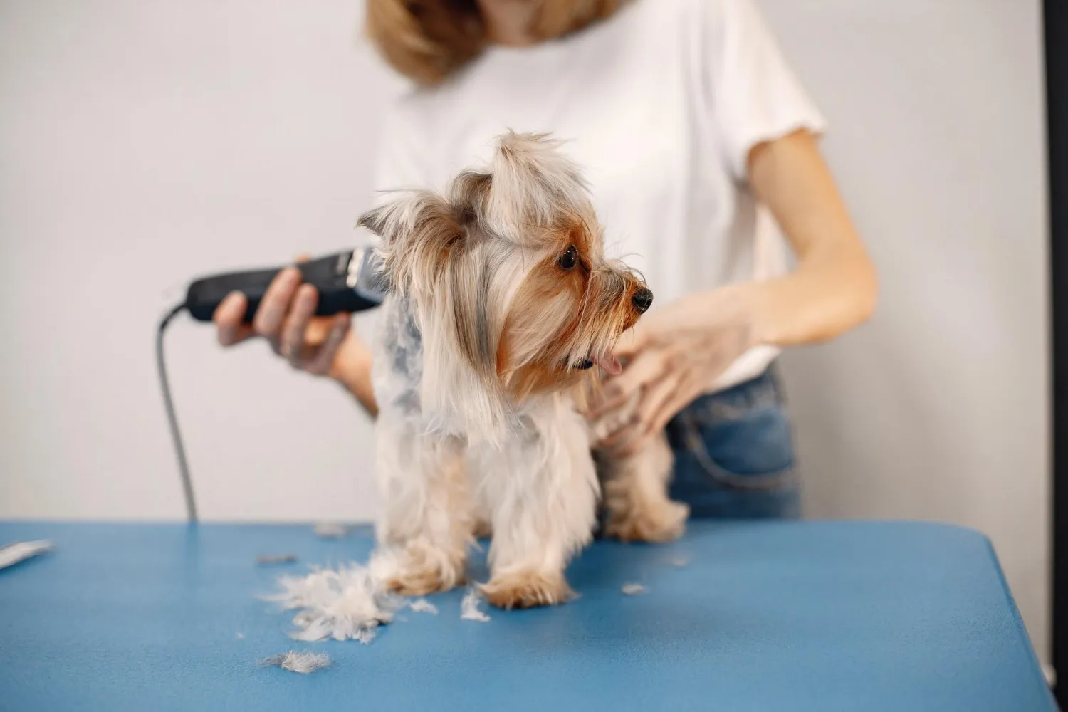 Mobile Pet Grooming for Busy Households