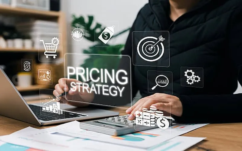 How Rental Software Helps with Dynamic Pricing Strategies