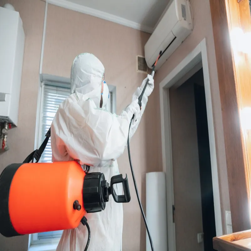 Post Construction Anti Termite Treatment for Lasting Protection