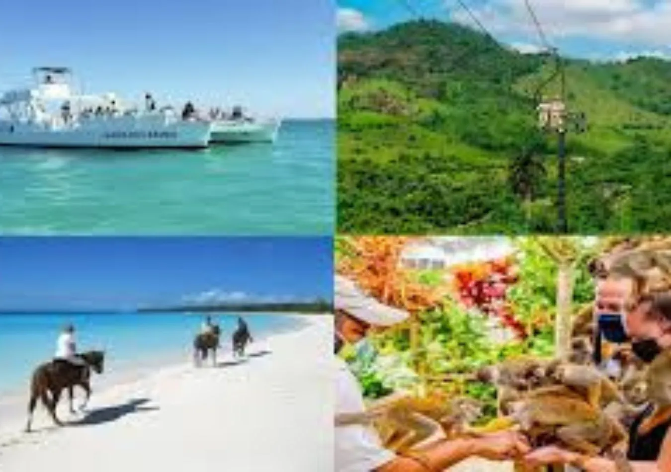 Top 10 Punta Cana Excursions for Families - Safe, Fun & Unforgettable Adventures