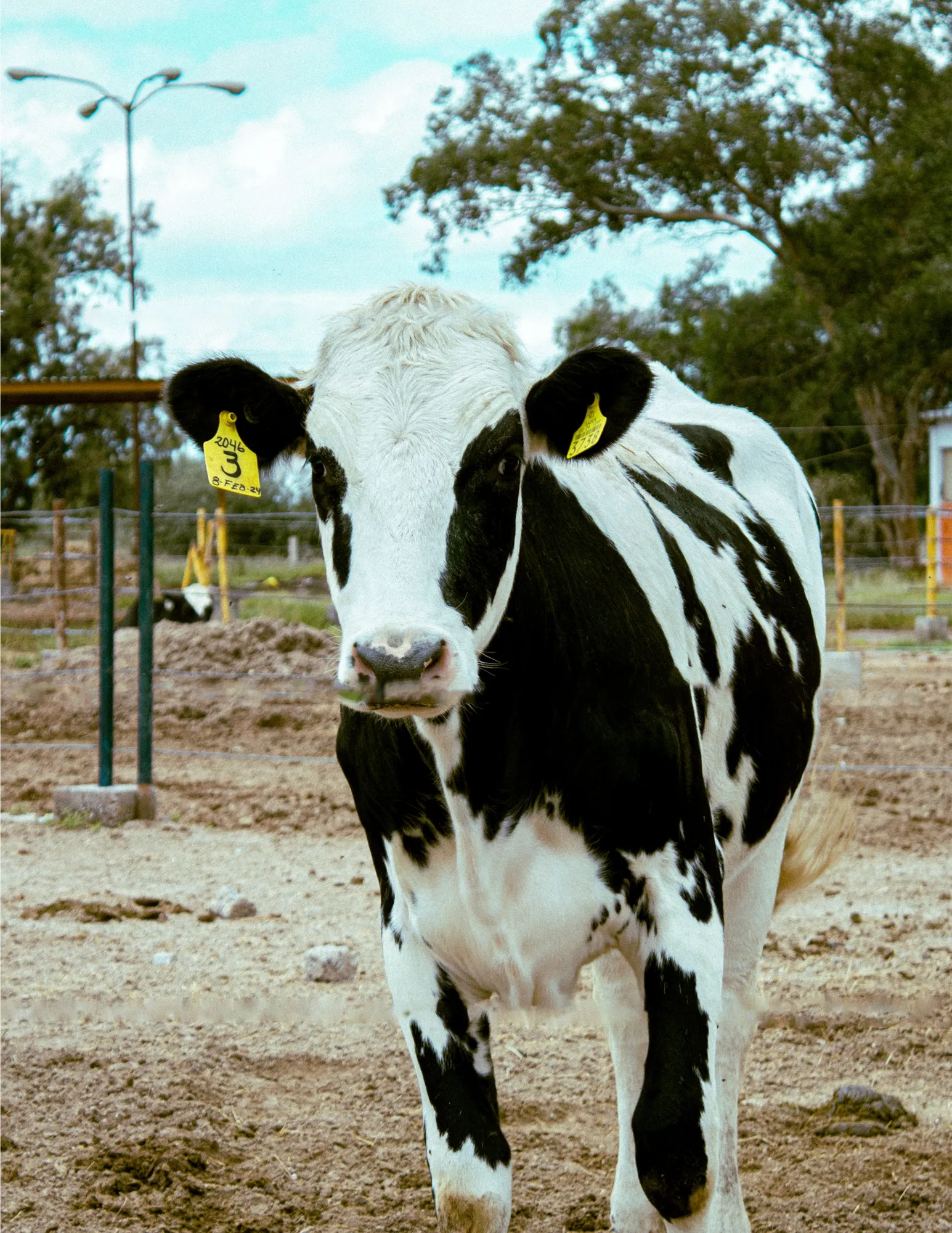 Best Dairy Farm Software Features for Efficient Farm Management