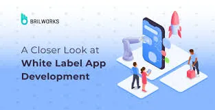 Why Egyptian Enterprises Are Investing in Custom White Label Messaging Apps for Secure Digital Communication