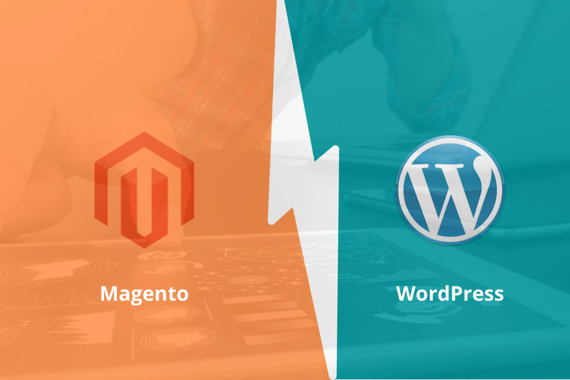 Magneto vs. WordPress: Which One to Choose For Your Ecommerce Business?