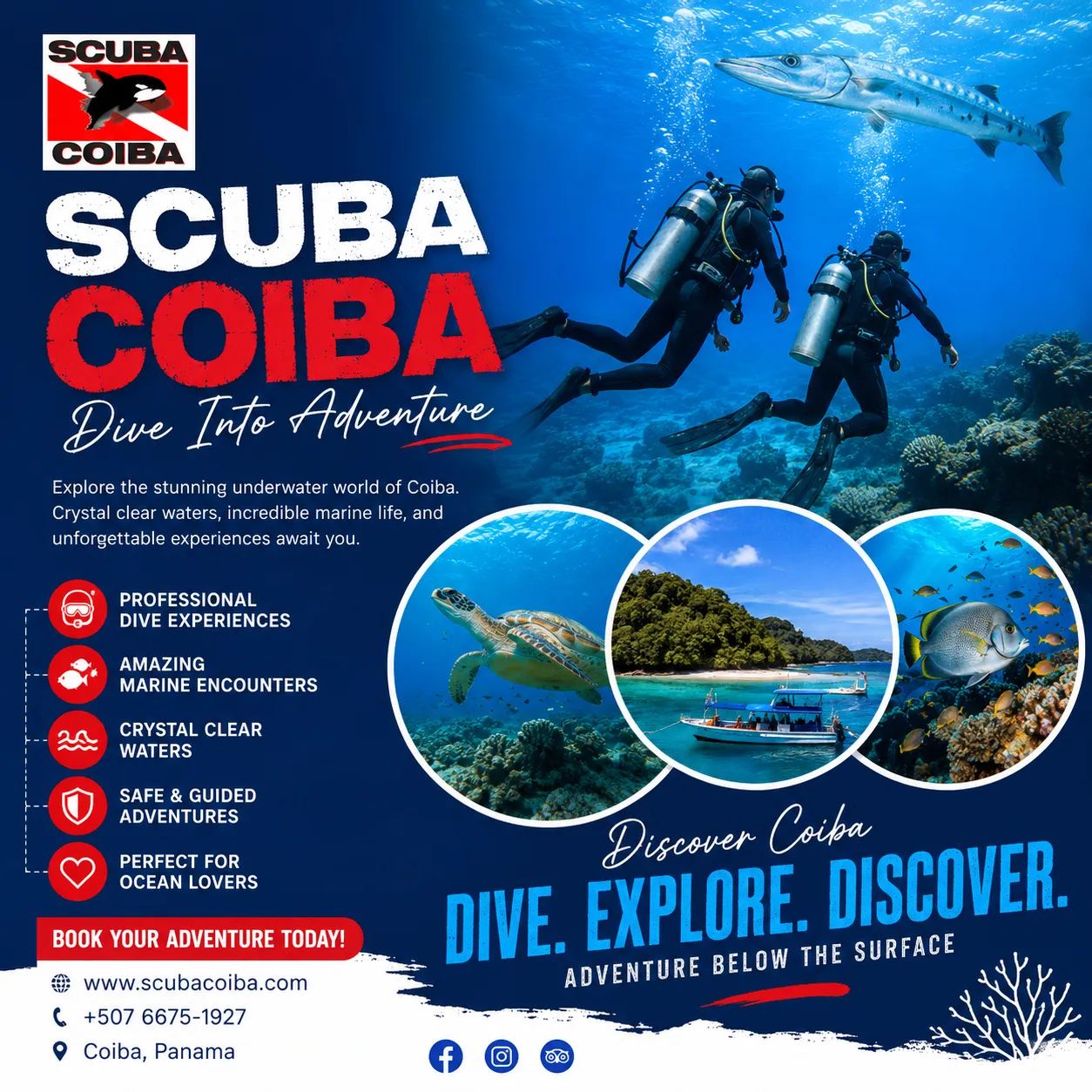 Panama Dive Adventure for Experienced Divers Seeking Sharks