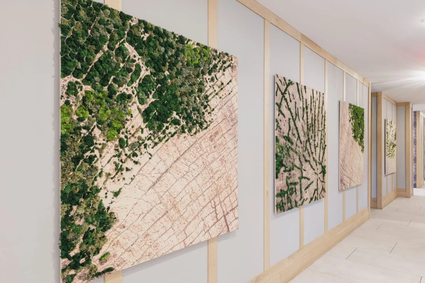 DC Interior Plantscaping Trends Shaping Modern Workspaces